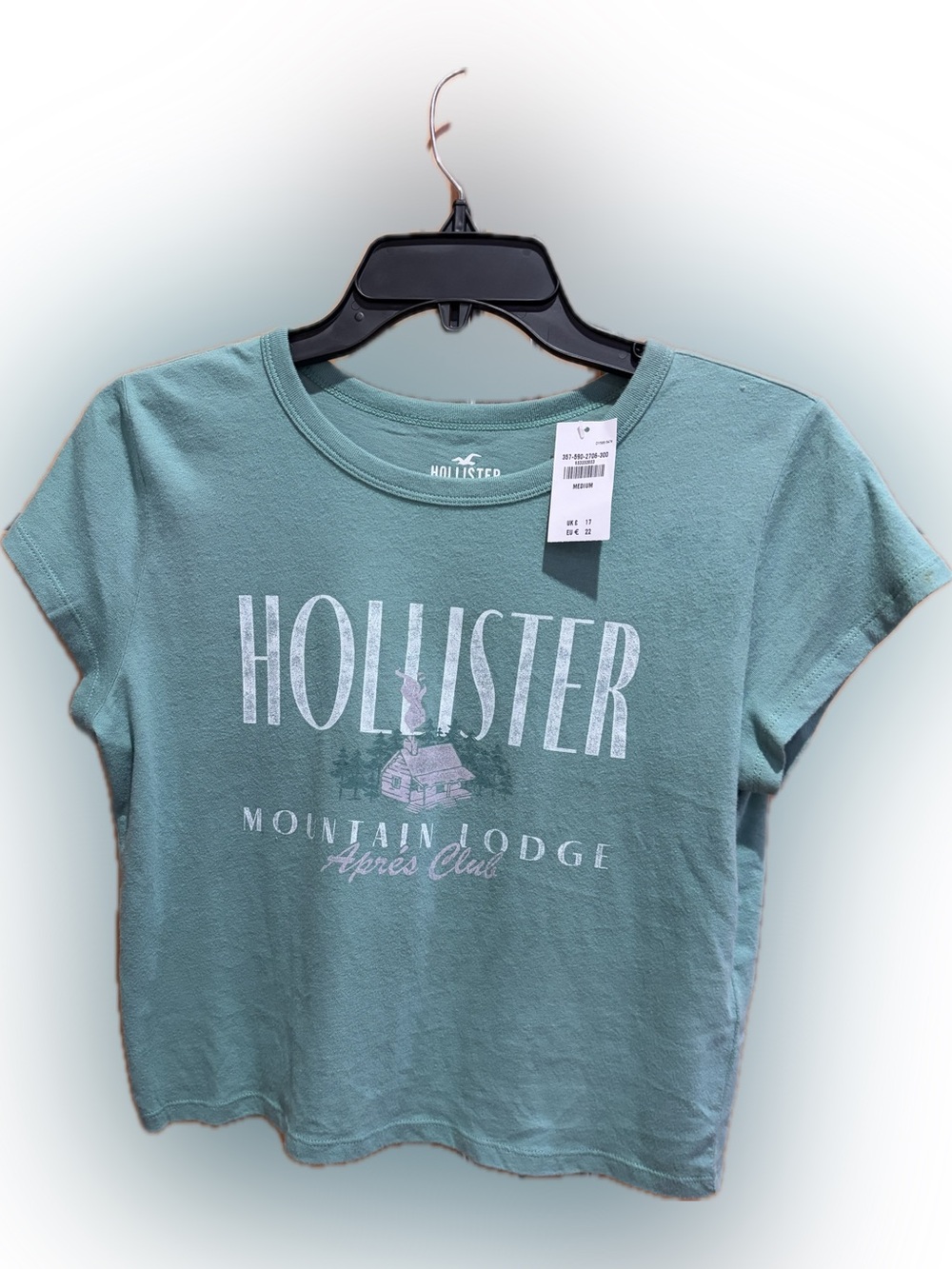 Hollister Mountain Lodge Apres Club Crop Tee M NWT